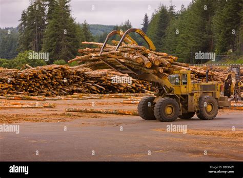lumber mills in eugene oregon.